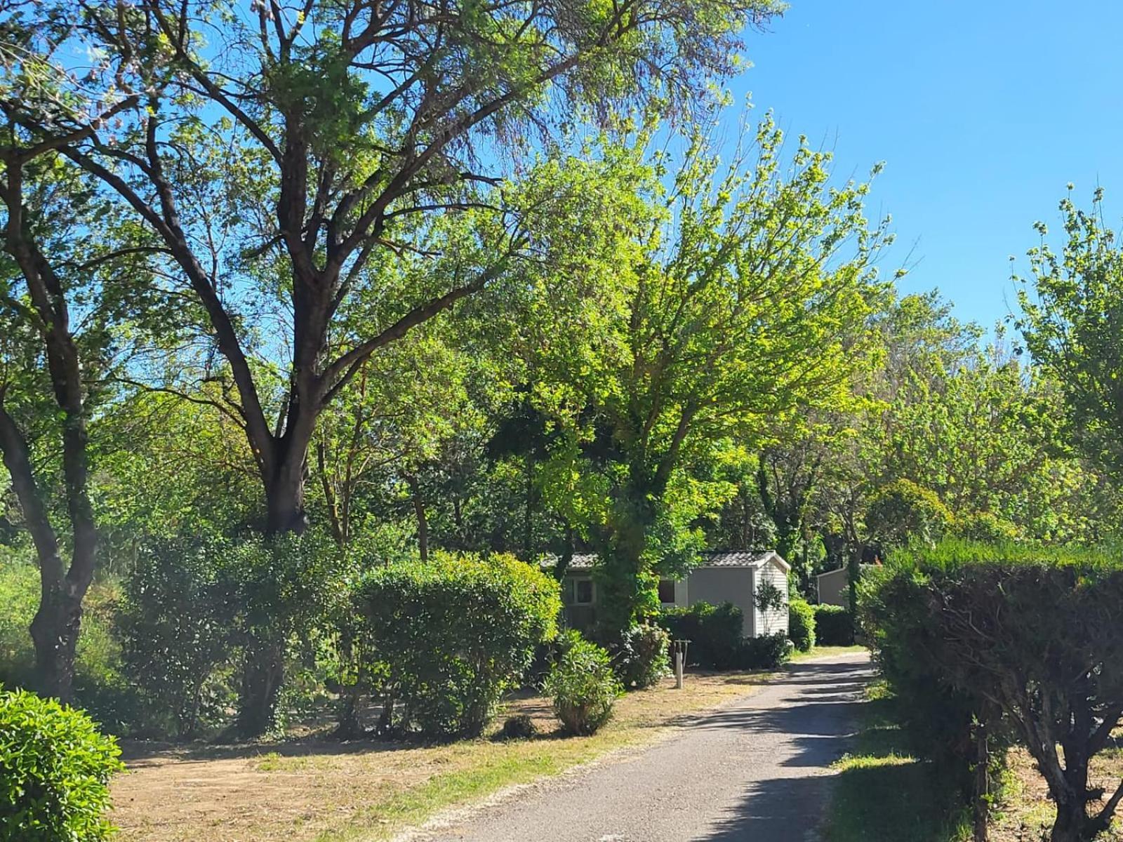 Camping Le Val De Cesse Mirepeisset Екстериор снимка