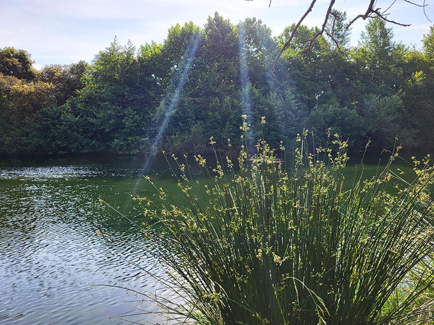 Camping Le Val De Cesse Mirepeisset Екстериор снимка